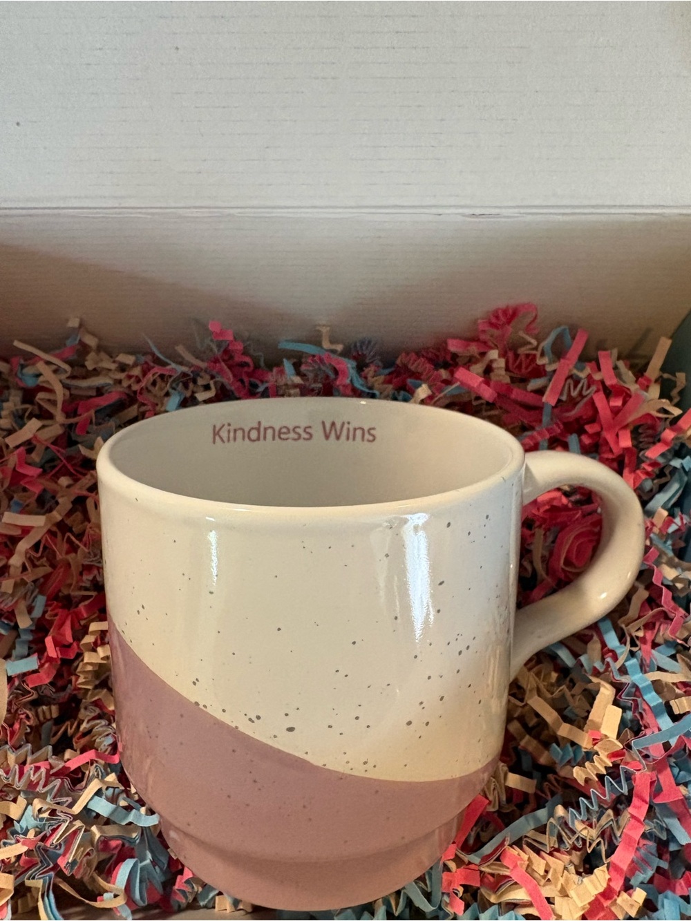 Kindness Wins Ceramic Mug in White and Dusty Rose